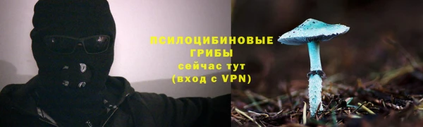 mix Нея