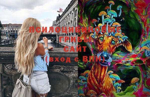 марки nbome Нефтекумск