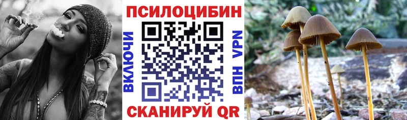 Псилоцибиновые грибы GOLDEN TEACHER  Сокол 